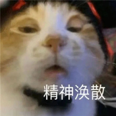 使用率较高的表情大全 晦气玩意