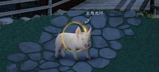 体验“种猪王”的一生：拥有上万后代，但一辈子没碰过母猪~