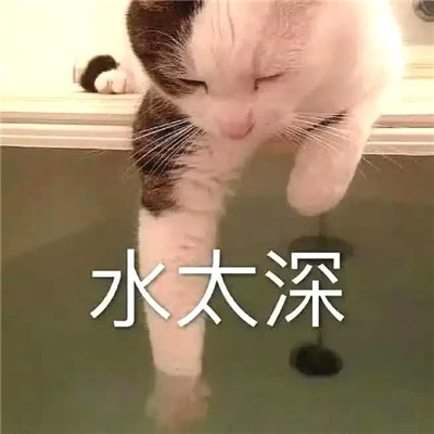 006WYq6ngy1hk8xw0p0rzj30u00swgo3.jpg