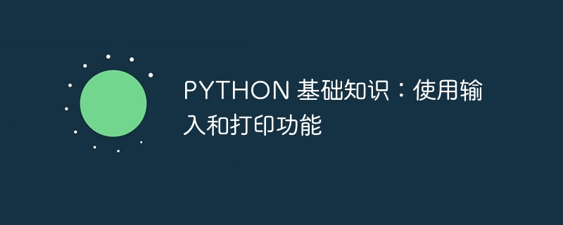 PYTHON 基础知识：使用输入和打印功能（基础知识.输入.功能.打印.PYTHON...）