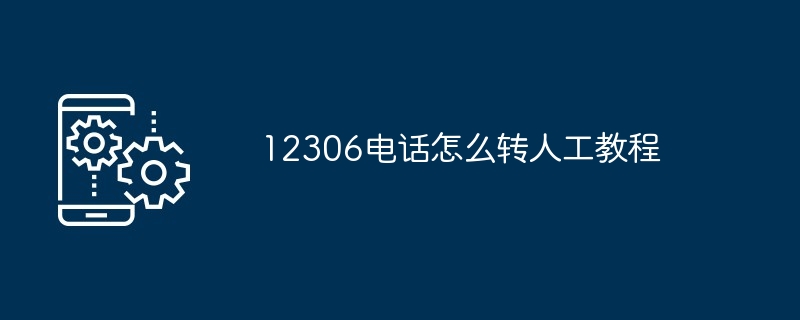 12306电话怎么转人工教程