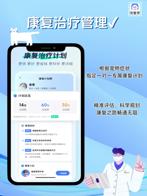宠智灵APP正式上线，技术创新与智能服务，打造宠物护理新方式（技术创新.上线.护理）