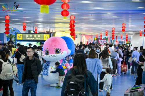 “灵蛇贺三亚 温暖中国年”三亚春节狂欢引爆旅游热潮（灵蛇.引爆.热潮）
