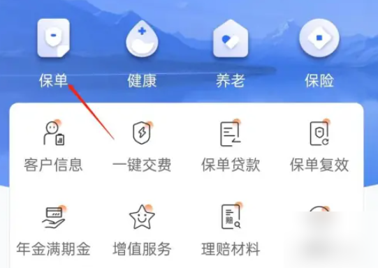 掌上新华保险如何查询保单 掌上新华如何查看保单（保单.新华.掌上.查看.查询...）