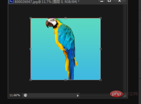 ba5acfd0dd767ecddb70b3782d583b4.png