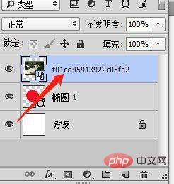 33@YT~8DMYE}[FRTWG0TM~C.jpg