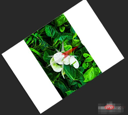 5843cb0c3d72cfeaf159a70e9881e20.png