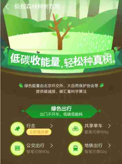 蚂蚁森林该如何获取能量（该如何.蚂蚁.能量.获取.森林...）