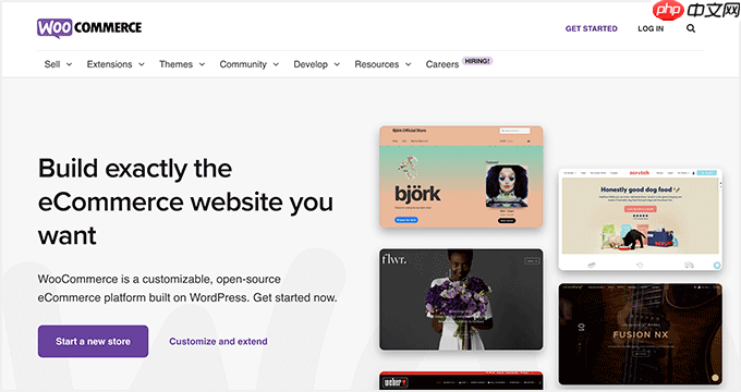 6 个最佳 Authorize.Net WordPress 插件（比较）